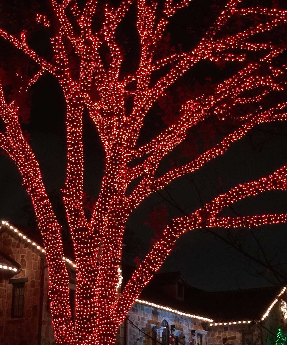 Professional tree lighting installation in Oklahoma City