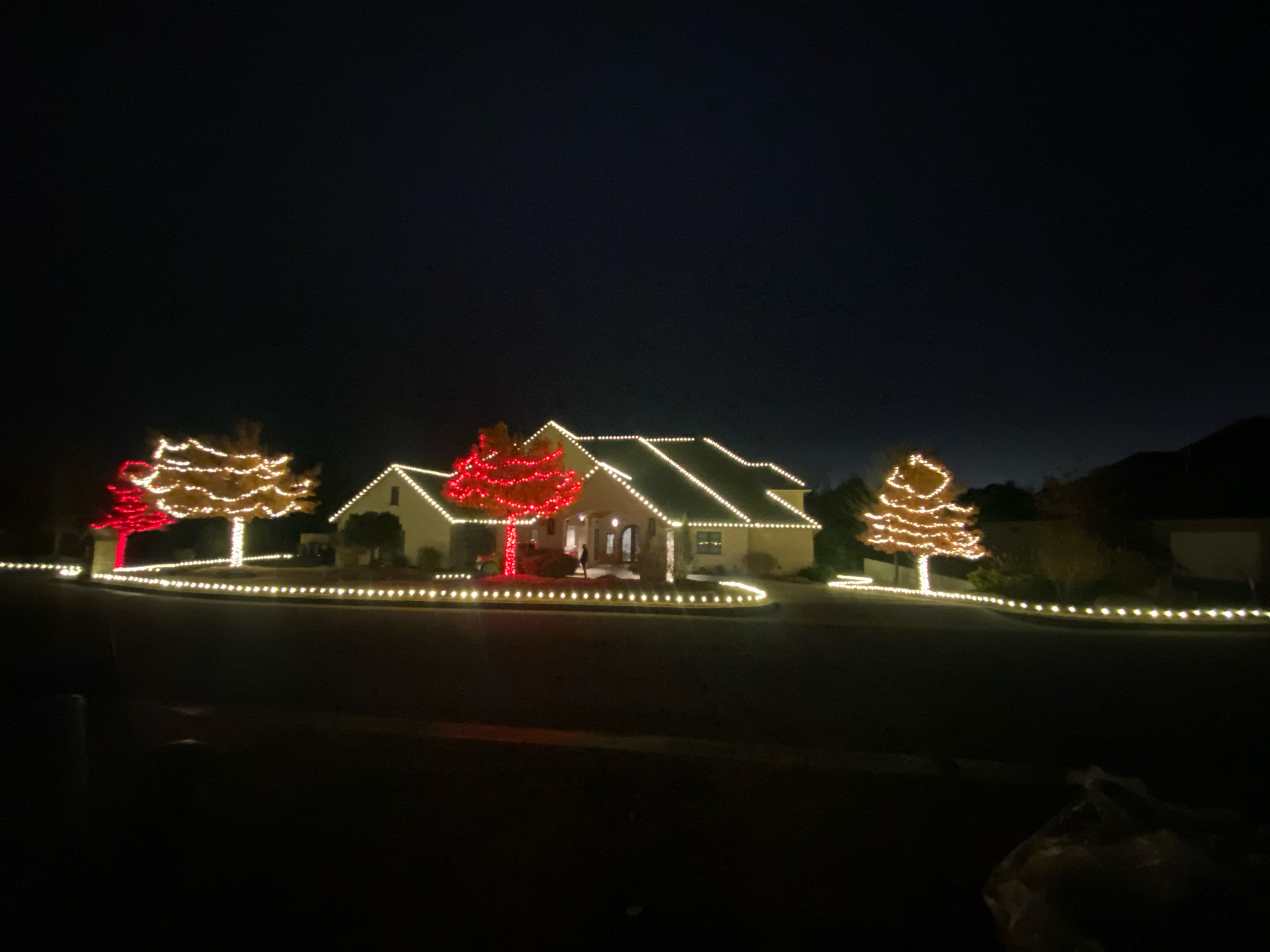 Complete whole-yard Christmas light transformation including trees, roofline and driveway lighting in The Village